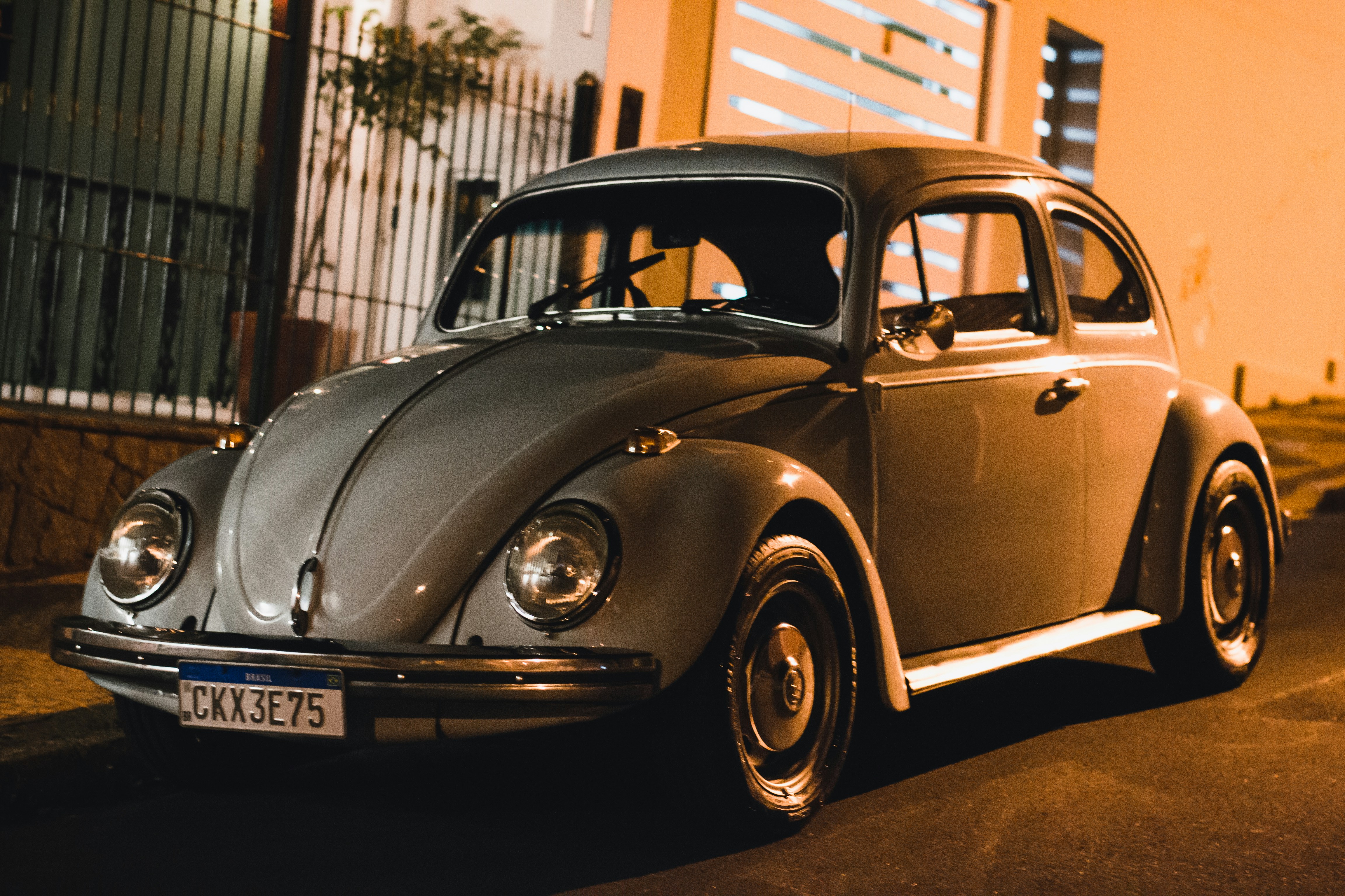 Coccinelle